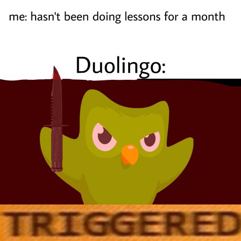 duolingo memes funny|duolingo text meme.